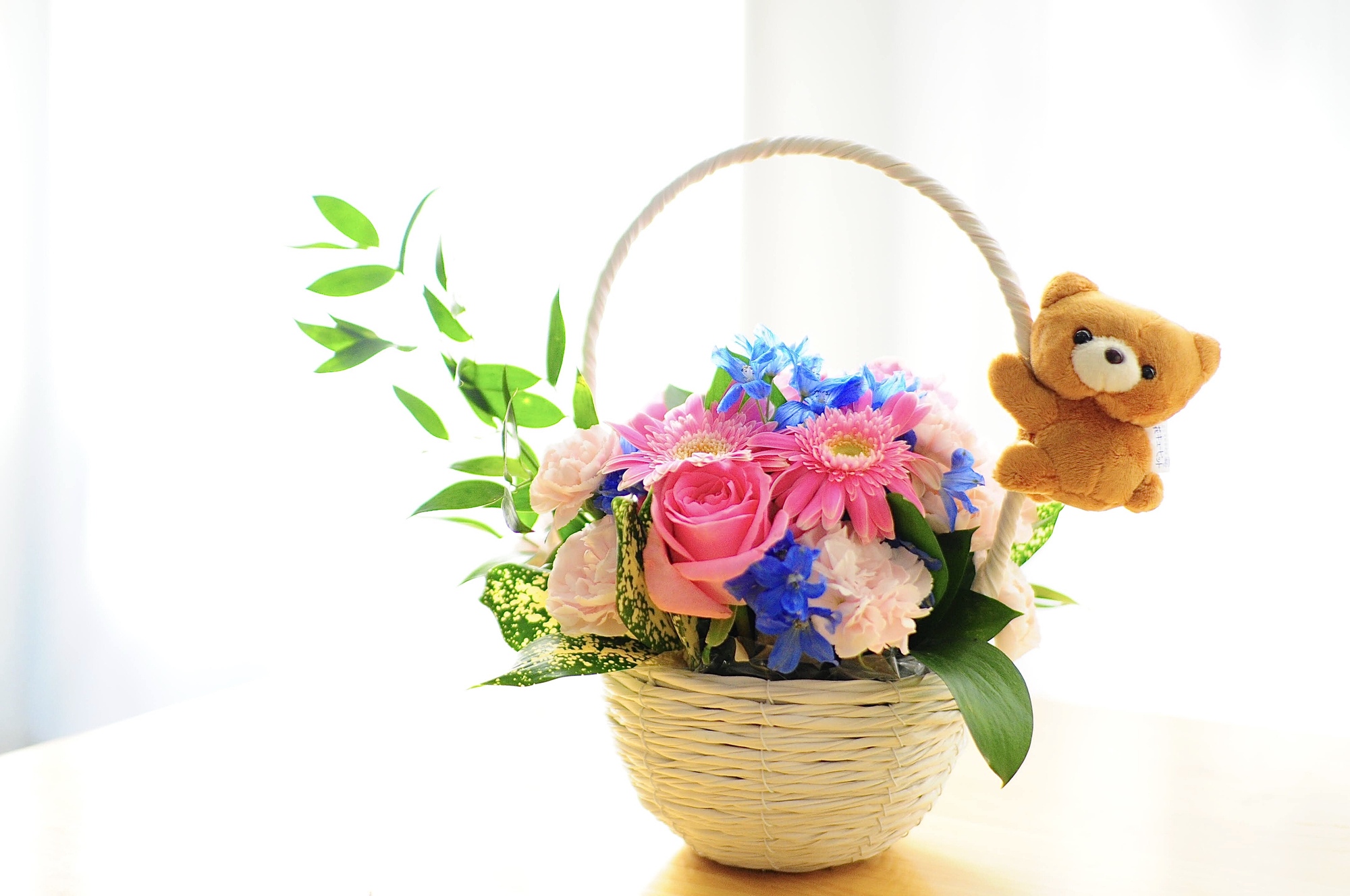 遊ばなくなったリラックマ、捨てる前に寄付を｜大事なぬいぐるみの寄付方法