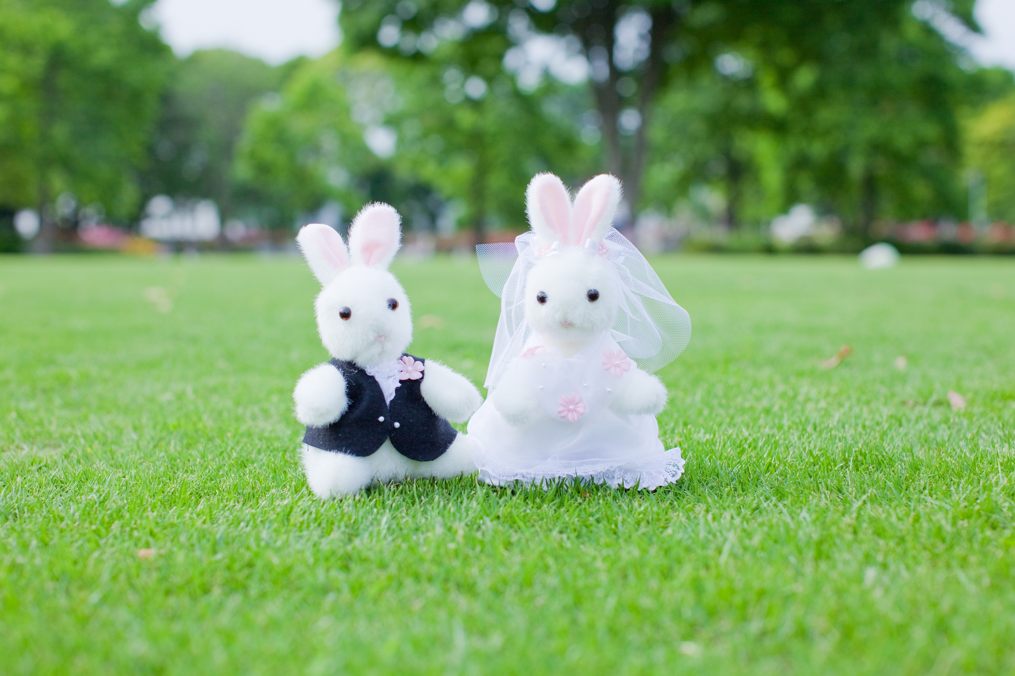 ミッフィーのぬいぐるみやベビー用品は寄付できる？食器・絵本を寄付する方法